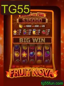 Explorando o Mundo de FruitNova: Um Mergulho em seu Universo e Regras