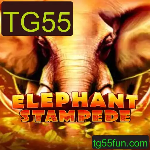 Descubra a Emoção do Jogo ElephantStampede com a Palavra-Chave TG55