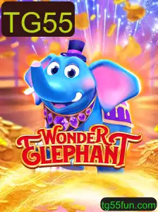 Explorando o Mundo Maravilhoso de WonderElephant